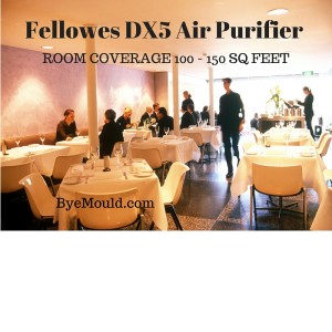Fellowes DX5 Air Purifier