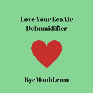 EcoAir Dehumidifier byemould damp best top mould