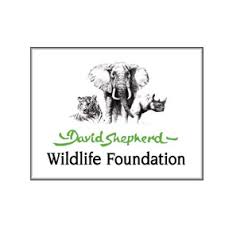 zambezi meaco dehumidifier david sheperd wildlife foundation elephant donation